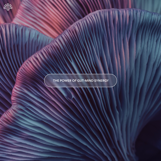 functional mushroom | gut and mind health