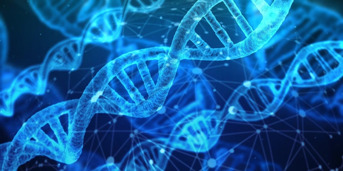 Illustration of DNA strands