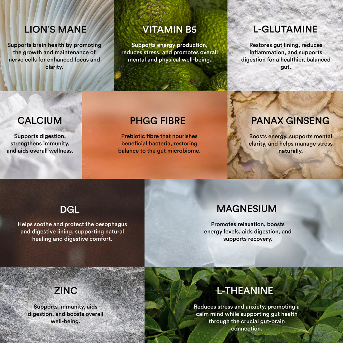FOCUL Gut + Mind supplement ingredient guide featuring PHGG prebiotic fibre, DGL liquorice root, L-glutamine, lion's mane and other ingredients for gut health and digestive support.